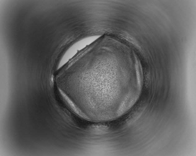 X0000093210644200710171342