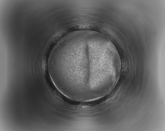 X0000093210648200710171342