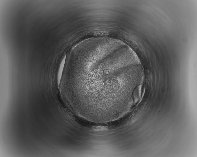 X0000093210649200710171342