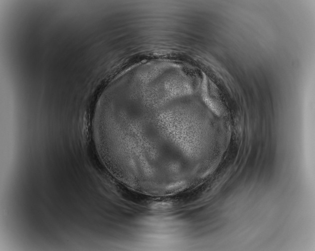 X0000093210653200710171342