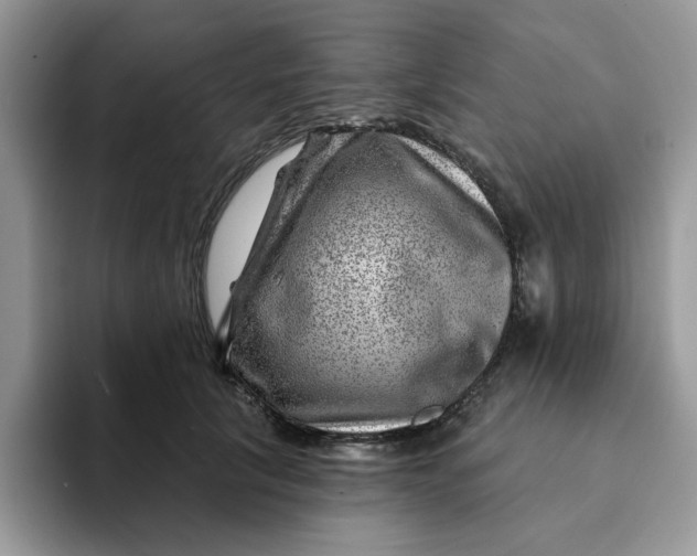 X0000093210657200710171342