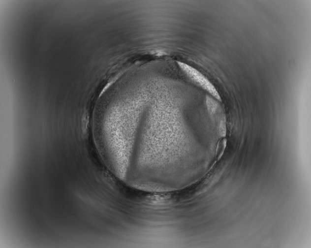 X0000093210660200710171342