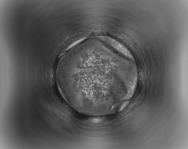 X0000093210662200710171342