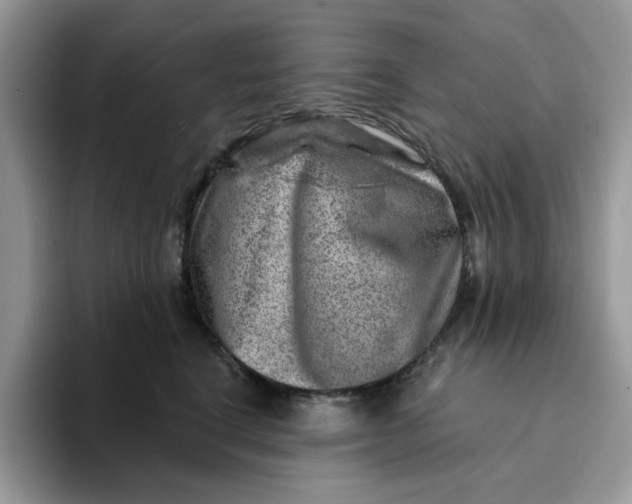 X0000093210664200710171342