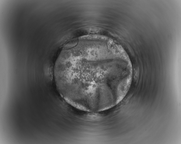 X0000093210666200710171342