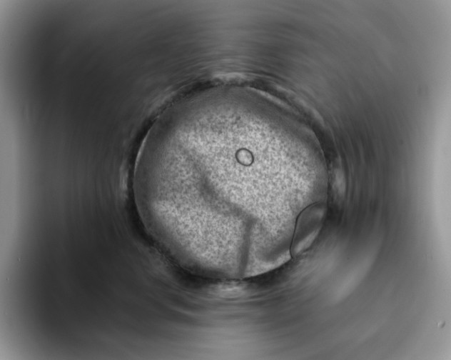 X0000093210668200710171342