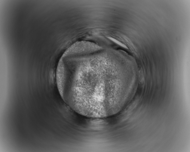 X0000093210669200710171342