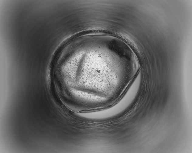 X0000093210676200710171342