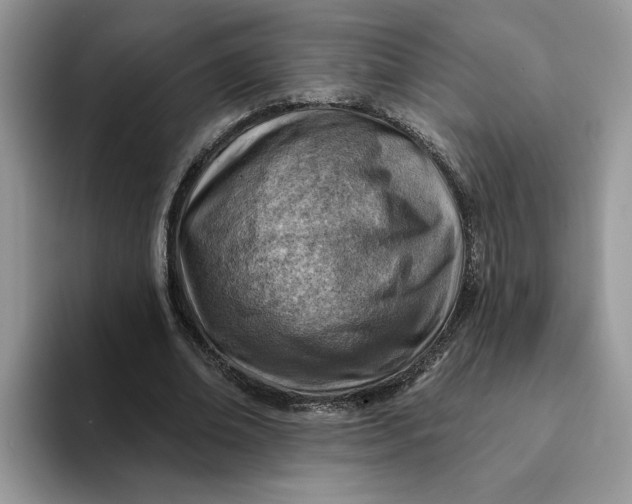 X0000093210678200710171342