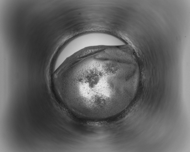 X0000093210679200710171341