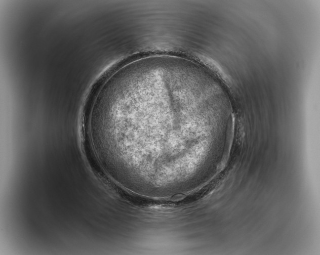 X0000093210680200710171341