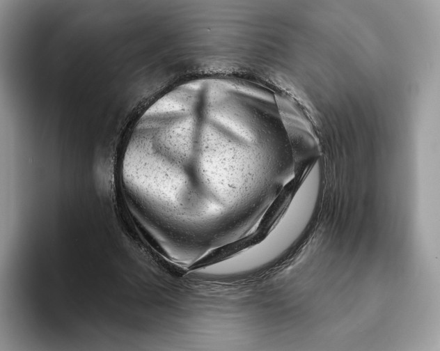 X0000093210681200710171341