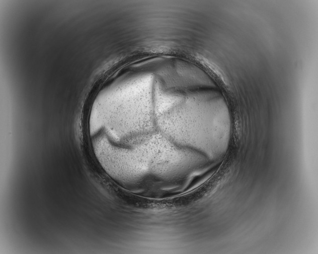 X0000093210682200710171341