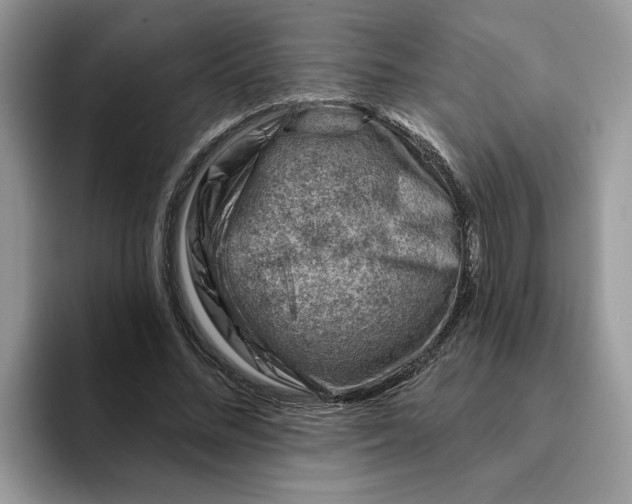 X0000093210684200710171341