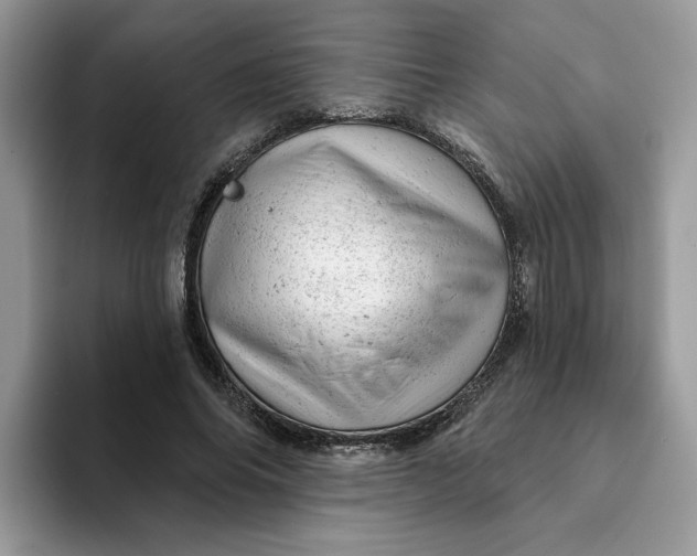 X0000093210686200710171341