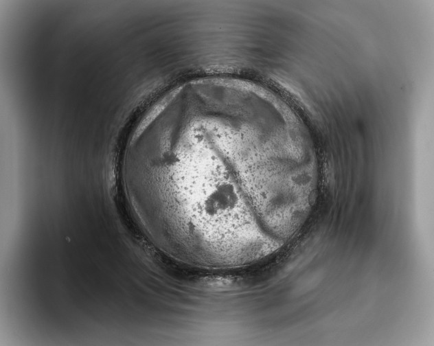 X0000093210687200710171341