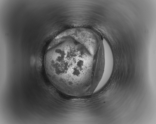 X0000093210691200710171341