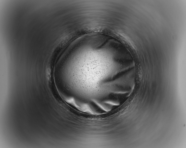 X0000093210693200710171341