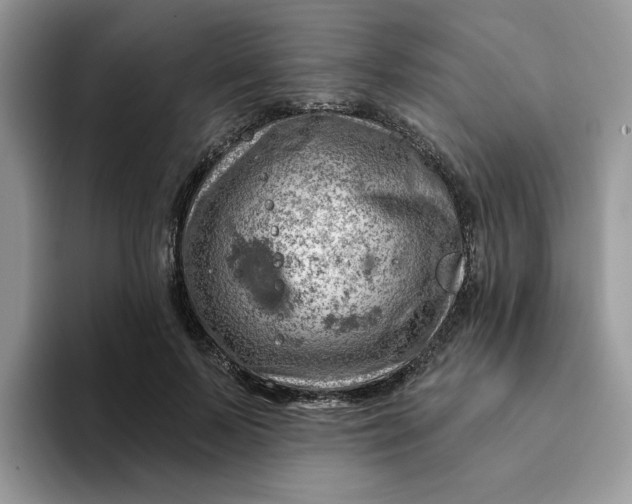 X0000093210695200710171341