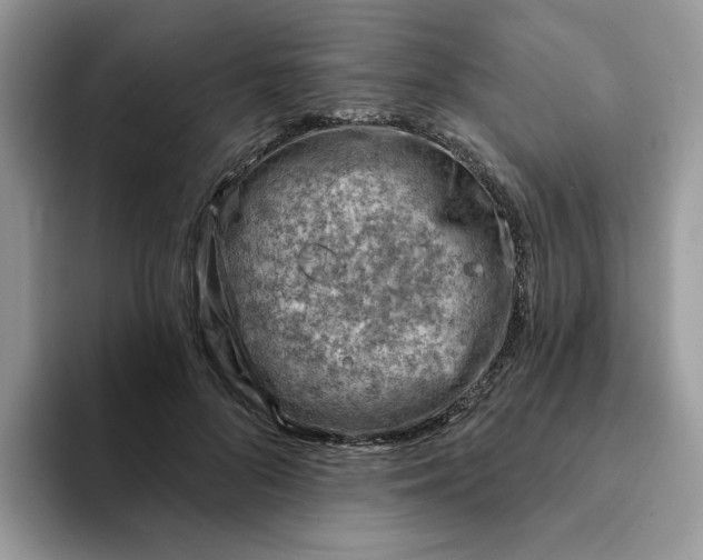 X0000093210696200710171341