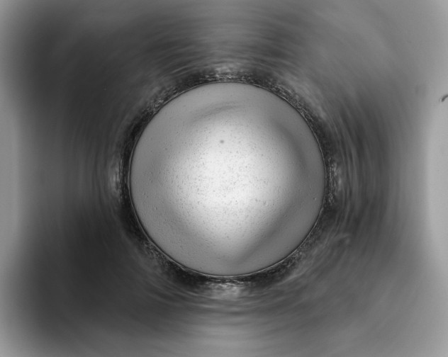 X0000093210698200710171341