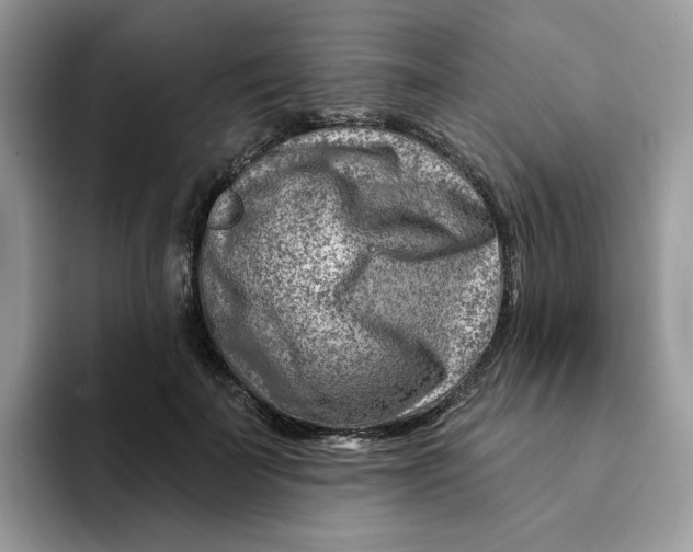 X0000093210699200710171341