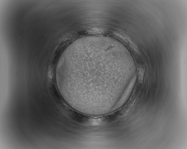 X0000093210701200710171341