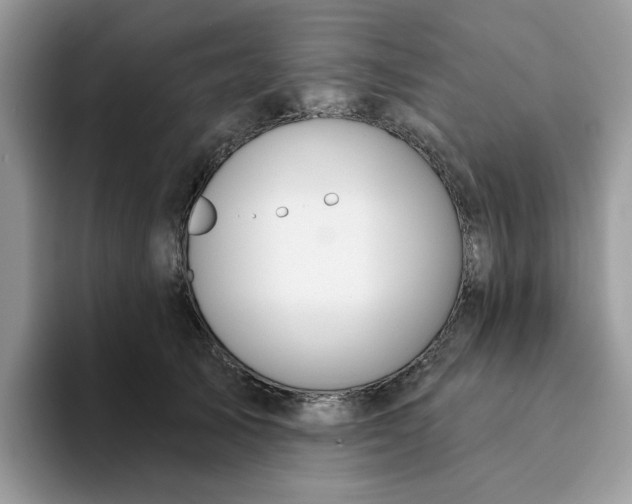 X0000093210705200710171341