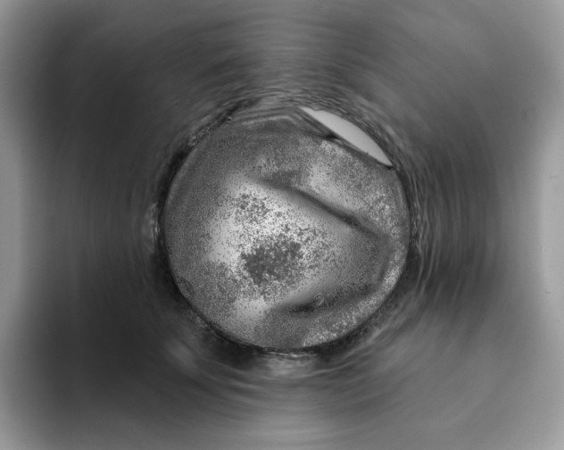 X0000093210707200710171341