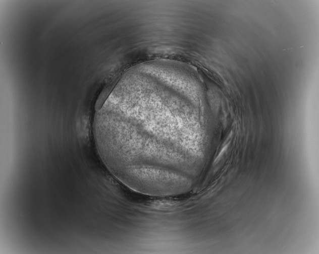 X0000093210708200710171341