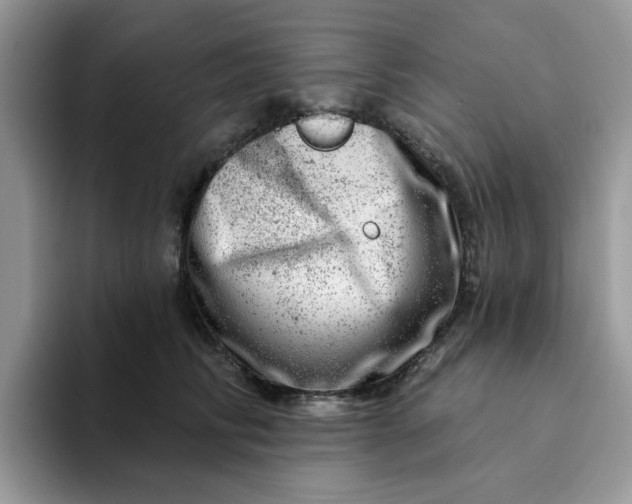 X0000093210710200710171341