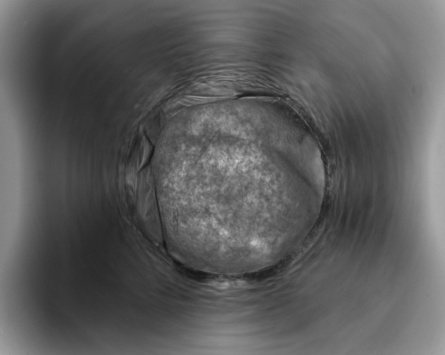 X0000093210712200710171341