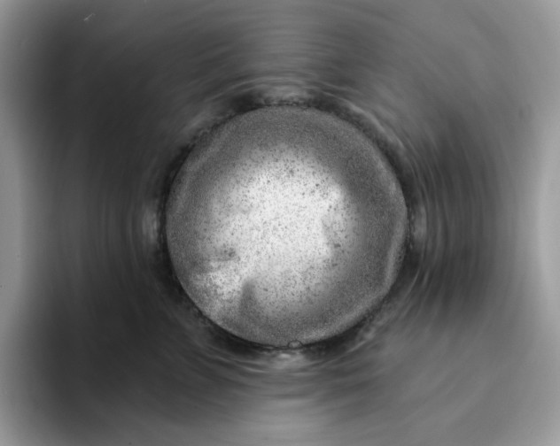 X0000093210715200710171341