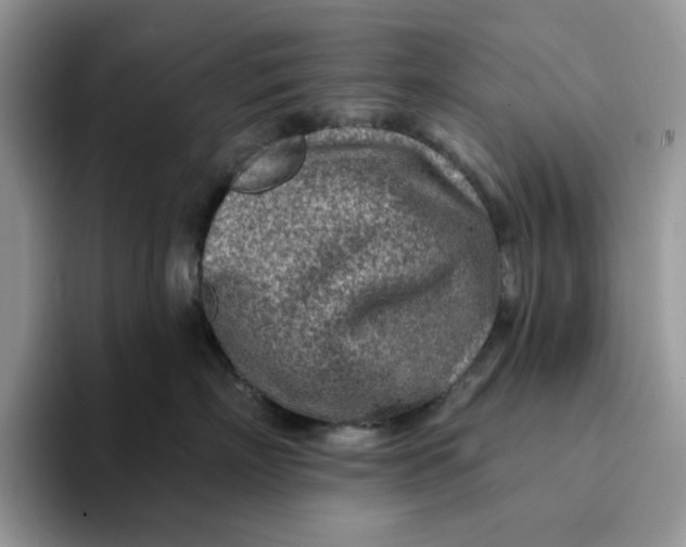 X0000093210718200710171341