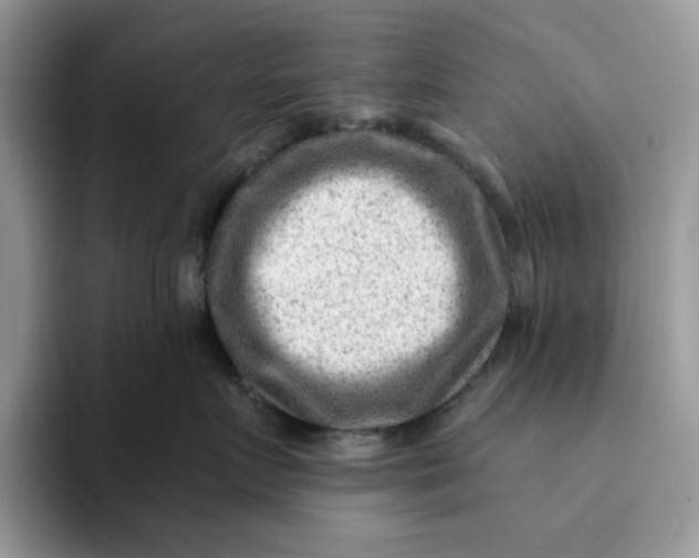 X0000093210719200710171341