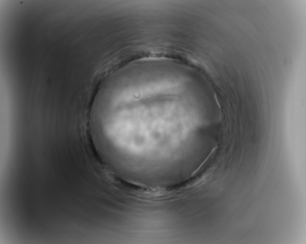 X0000093210720200710171341