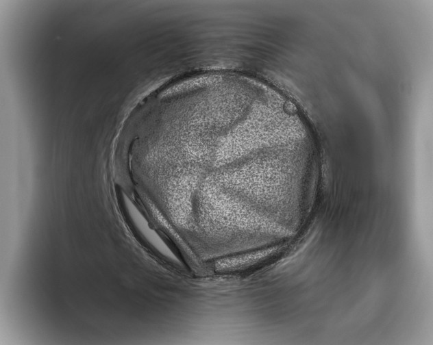 X0000093210721200710171340