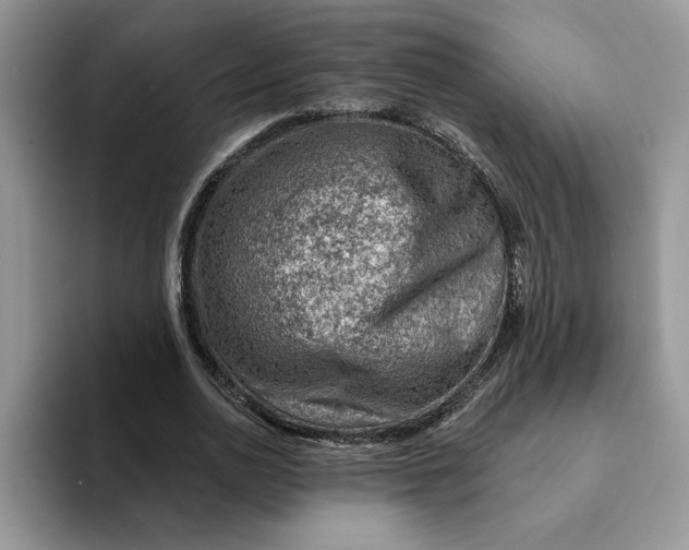 X0000093210726200710171341