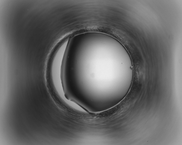 X0000093210728200710171341