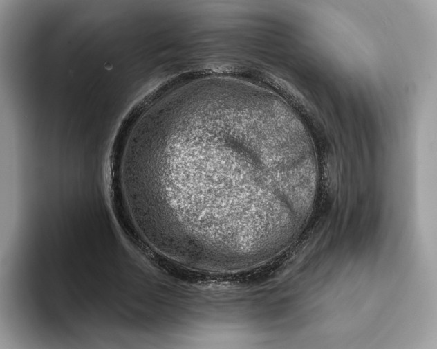 X0000093210730200710171341