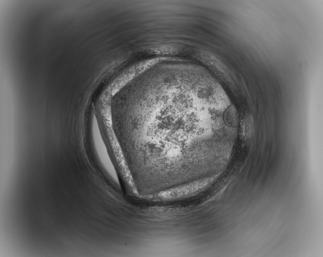 X0000093210733200710171341