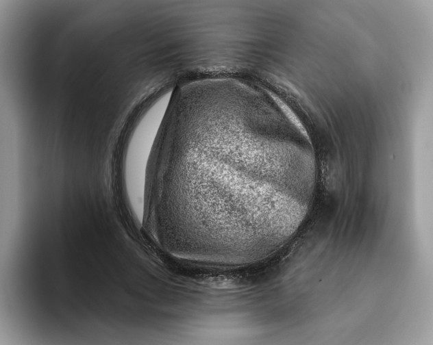 X0000093210735200710171341