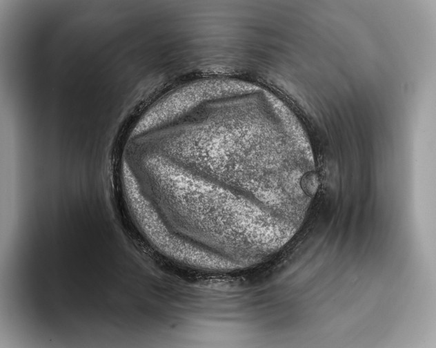 X0000093210738200710171341