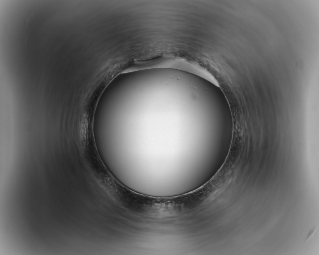 X0000093210744200710171341