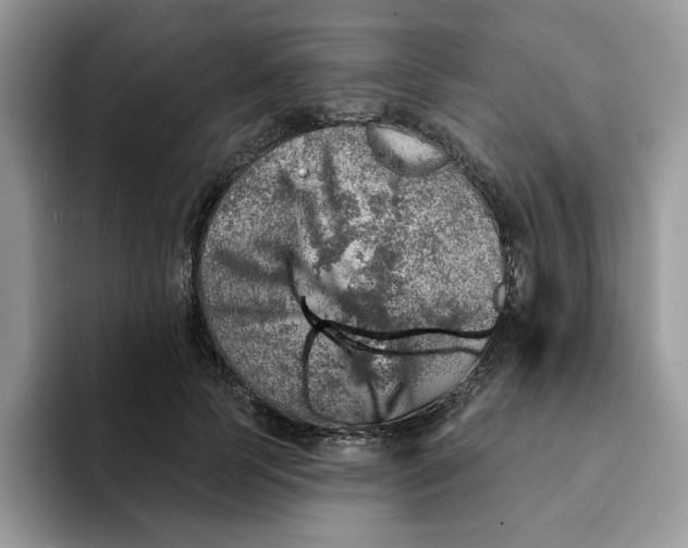 X0000093210745200710171341