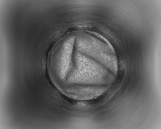 X0000093210753200710171341