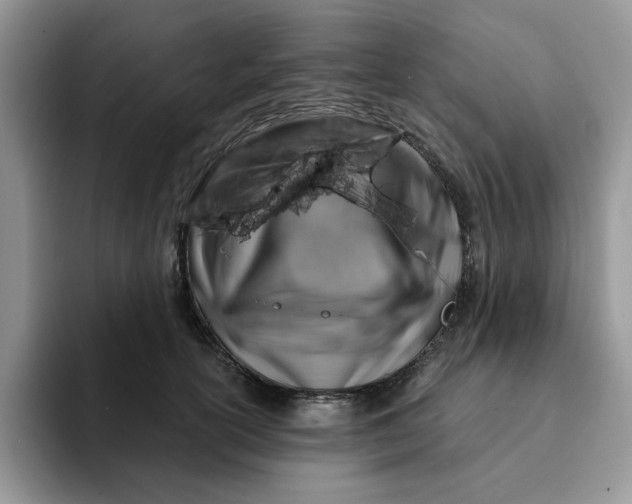 X0000093210754200710171341