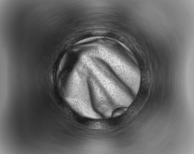 X0000093210755200710171341