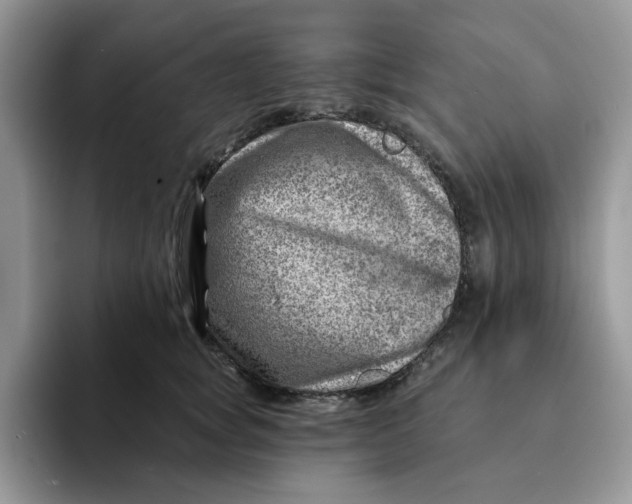 X0000093210757200710171341