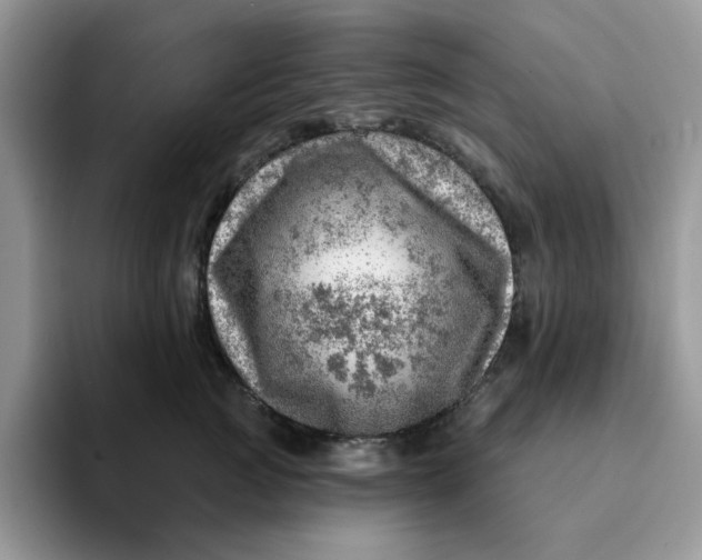 X0000093210761200710171341